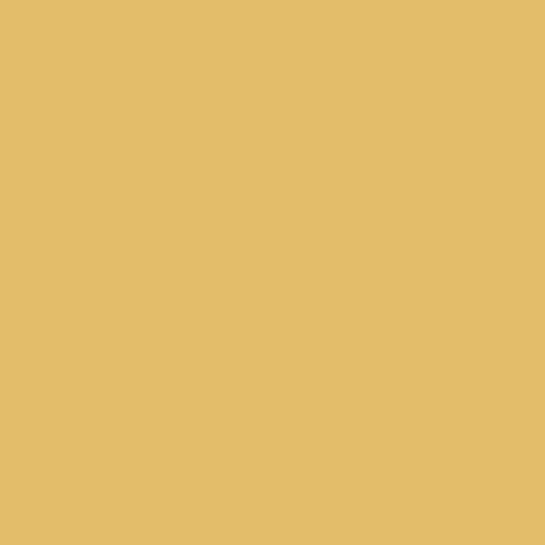 White Raven IT Gold